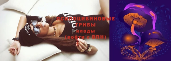 герыч Алзамай