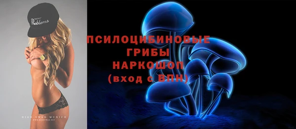 спайс Алексин