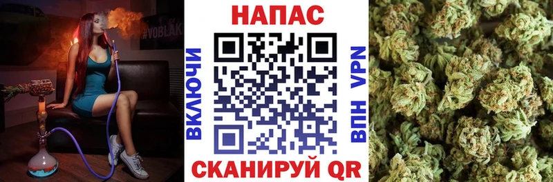 Каннабис индика  Волгодонск 